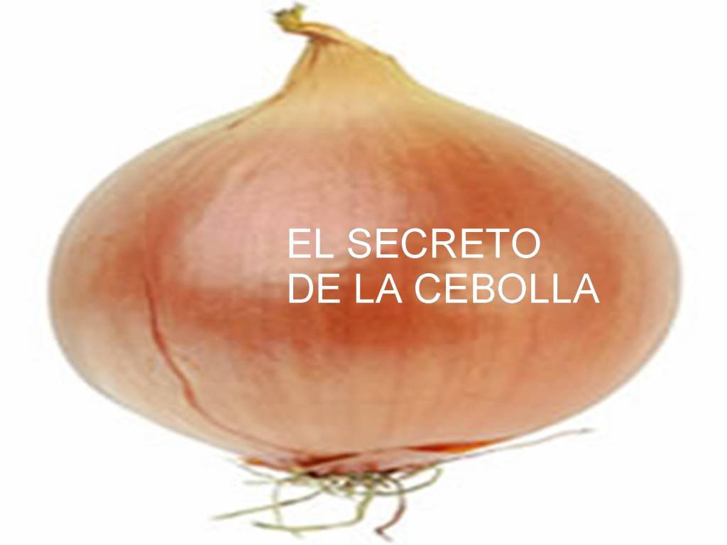 El secreto de la cebolla « VitaNoble Powerpoints