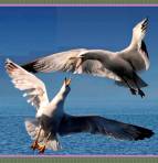 Almas en el horizonte