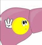 Hola, soy tu hígado