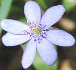 Quien soy deja huella