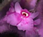 Cuando la vida no te sea fácil