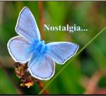Nostalgia...