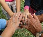 Evangelio del Domingo 21-7-2013
