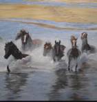 Caballos en el mar