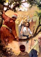 Evangelio del Domingo 3 de noviembre de 2013