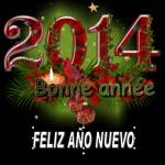 Año Nuevo 2014