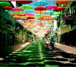 Microparaísos de la tierra