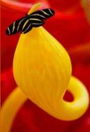 Cuando me ame de verdad