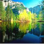 Decidiste ya tu camino