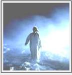 Evangelio del Domingo 10 de agosto de 2014