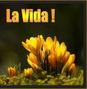La vida !