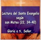 Evangelio del Domingo 26 de octubre de 2014