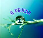A prueba