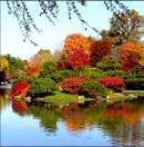 Lo relajante del otoño