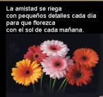 La amistad se riega cada día