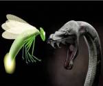 La luciernaga y la serpiente