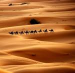 En el desierto del mundo