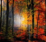 Natura que no decepciona