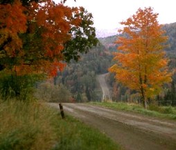 En el camino aprendí